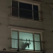 약후) 뒷치귀신