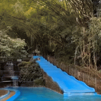 bfa86d911832fc7684165bba056dfe6c_1690902657_593.gif