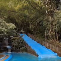 111b6fe683125d895d6ba10324bec331_1690962030_9155.gif