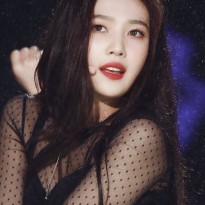 20250813012945_nYW6MBkL8D.png